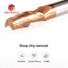 2 Flute Flat End Mill